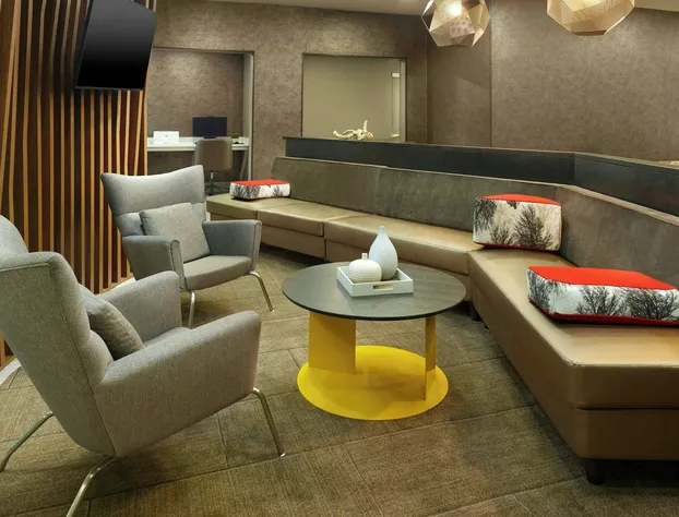 Springhill Suites By Marriott Atlanta Six Flags hotel detail image 3