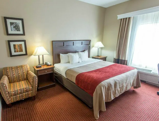 Comfort Inn New Orleans Airport South hotel detail image 4