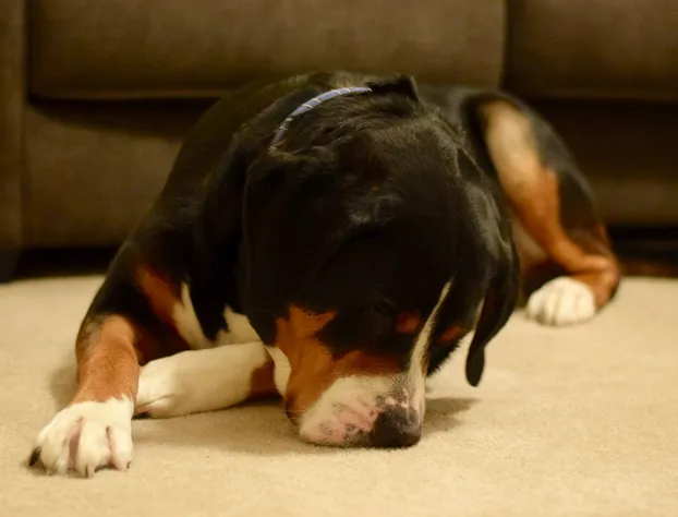 Residence Inn by Marriott Saratoga Springs hotel detail image 4