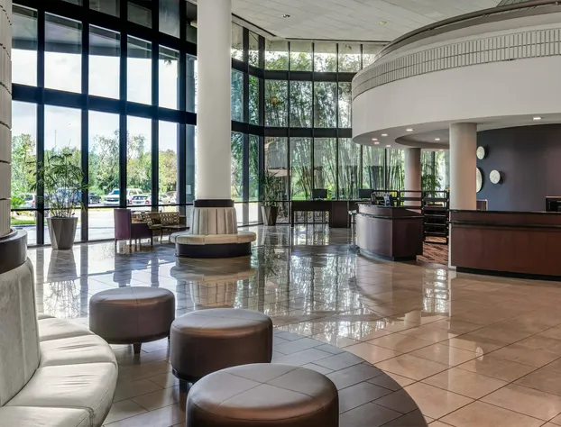 Sheraton Tampa Brandon Hotel hotel detail image 3