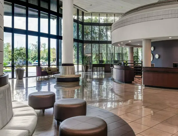 Sheraton Tampa Brandon Hotel hotel detail image 3