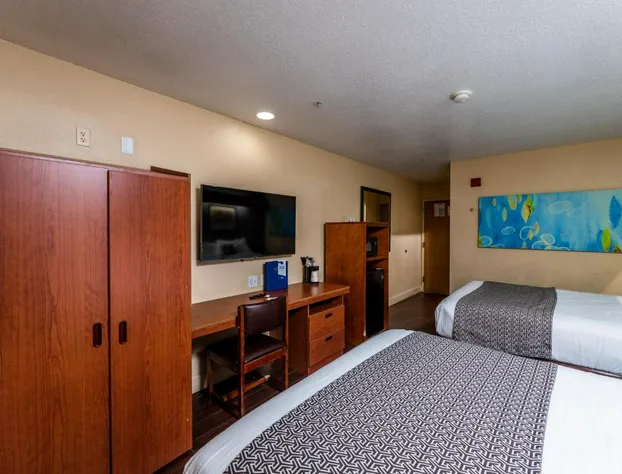 Microtel Inn & Suites by Wyndham Ocala hotel detail image 2