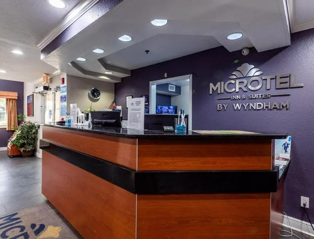 Microtel Inn & Suites by Wyndham Ocala hotel detail image 2