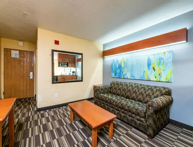 Microtel Inn & Suites by Wyndham Ocala hotel detail image 3