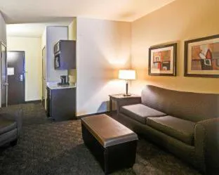 Comfort Suites Arlington - Entertainment District hotel detail image 3