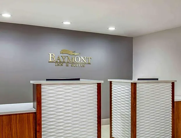 Baymont by Wyndham McDonough hotel detail image 3