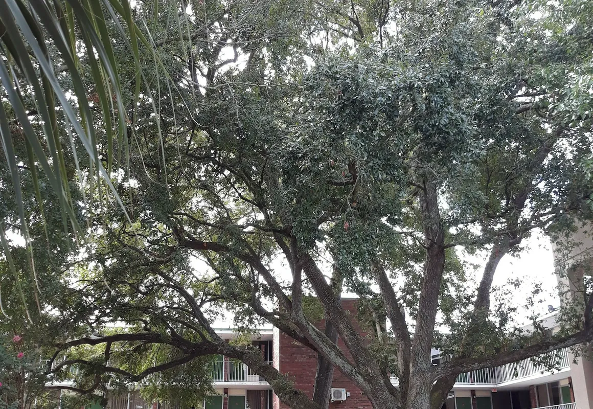 Days Inn by Wyndham Mt Pleasant-Charleston-Patriots Point hotel hero