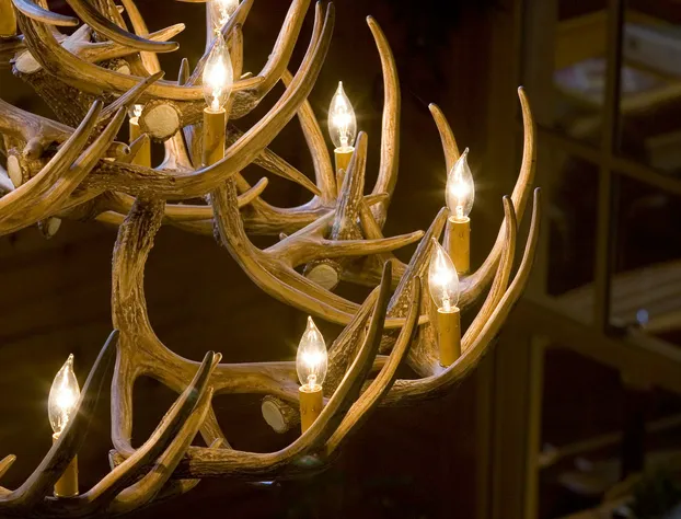 The Lodge at Brainerd Lakes, Trademark Collection by Wyndham hotel detail image 4