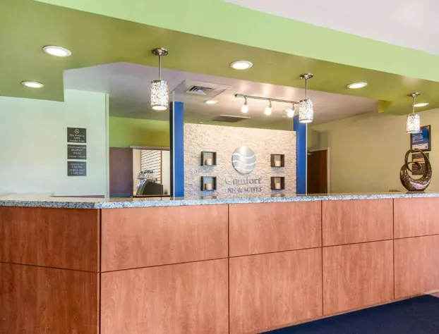 Comfort Inn & Suites Near Universal Orlando Resort - Convention Ctr hotel detail image 2