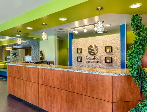 City Express by Marriott Orlando International Drive hotel detail image 1