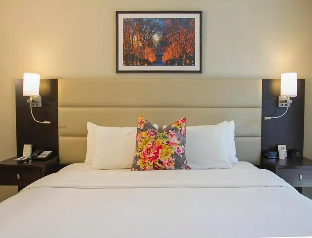 Newbury Guest House hotel detail image 4