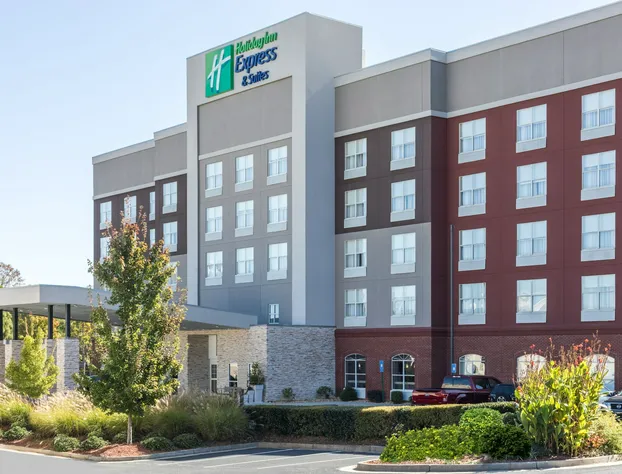 Holiday Inn Express & Suites Atlanta NE - Duluth by IHG hotel detail image 3
