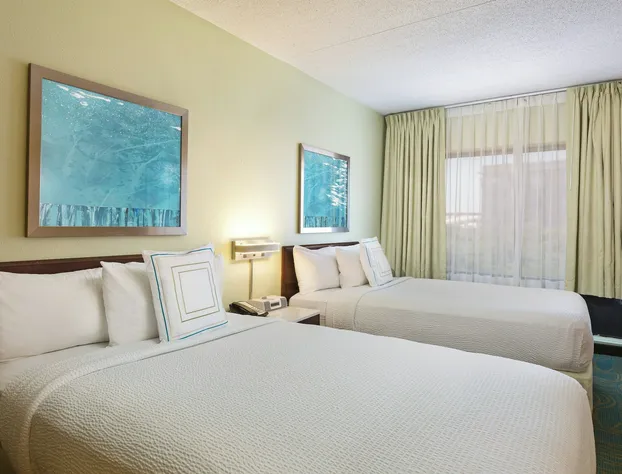 SpringHill Suites by Marriott Austin South hotel detail image 3