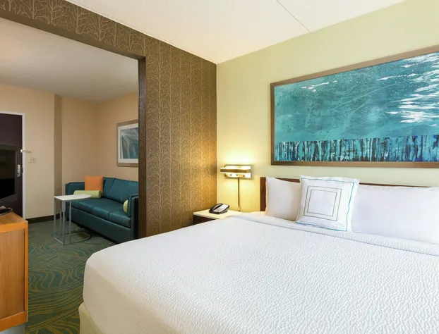 SpringHill Suites by Marriott Austin South hotel detail image 4