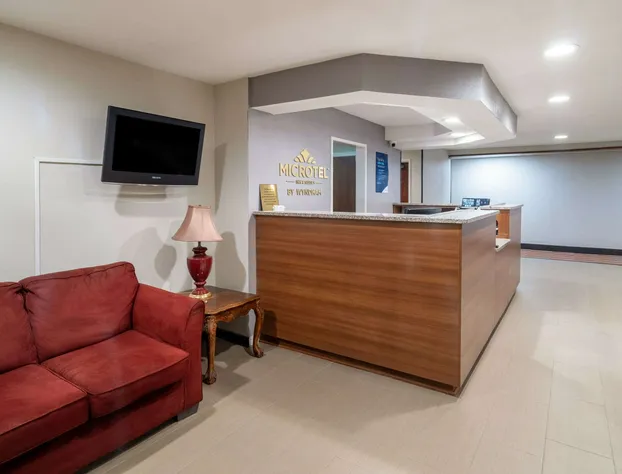 Microtel Inn & Suites by Wyndham Pooler/Savannah hotel detail image 3