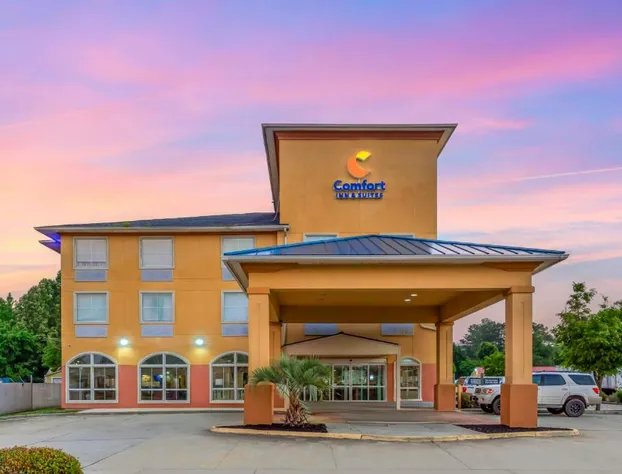 Comfort Inn & Suites Chesapeake - Portsmouth hotel detail image 3
