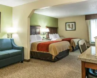 Comfort Inn Grove City - Columbus South hotel detail image 3