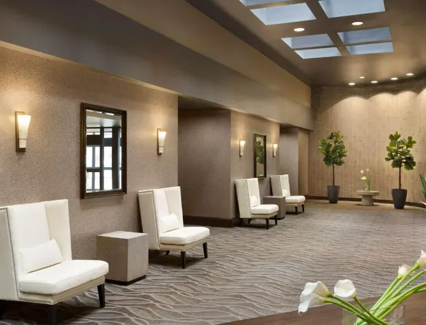 Hilton Greenville hotel detail image 2