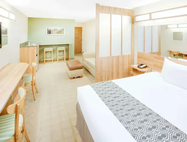 Microtel Inn & Suites by Wyndham Saraland/North Mobile hotel detail image 4