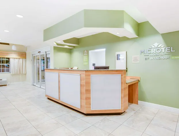 Microtel Inn & Suites by Wyndham Saraland/North Mobile hotel detail image 1