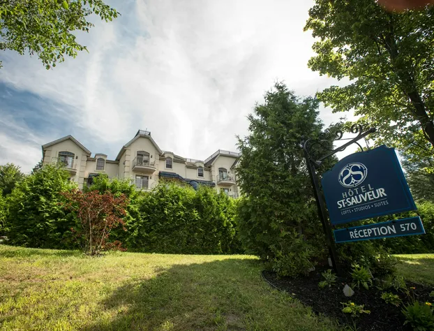 Hotel St-Sauveur hotel detail image 4