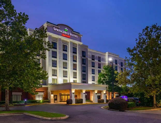 SpringHill Suites by Marriott Norfolk Virginia Beach hotel detail image 1