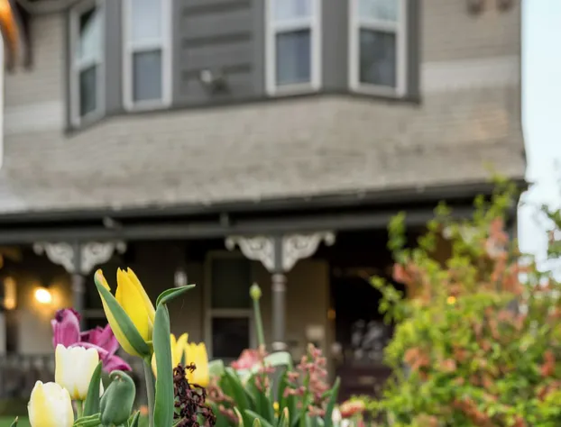 Queen Anne Bed And Breakfast hotel detail image 4