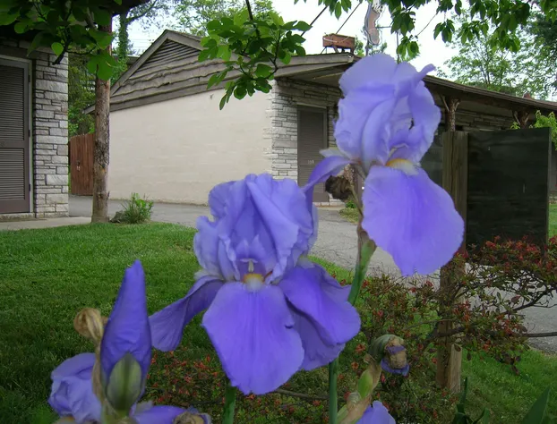 The Mountaineer Inn hotel detail image 4