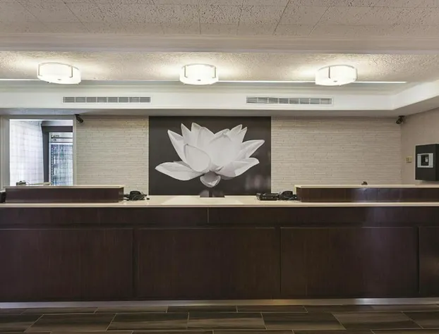 Quality Inn & Suites North Charleston - Ashley Phosphate hotel detail image 3