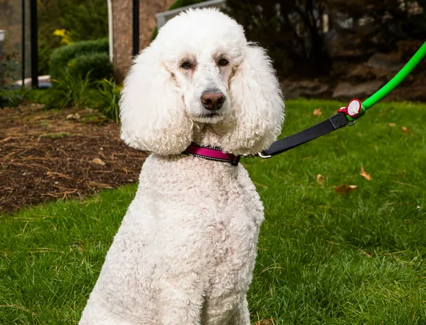 Residence Inn by Marriott Shelton Fairfield County hotel detail image 4