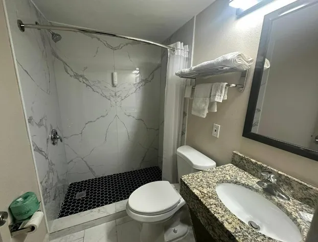 Econo Lodge St. Petersburg Central hotel detail image 4