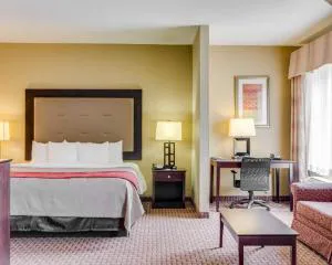 Quality Inn & Suites Slidell hotel detail image 1
