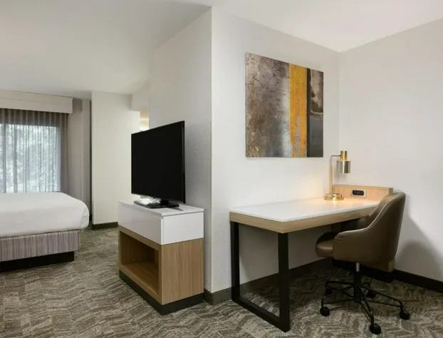 Springhill Suites By Marriott Newnan hotel detail image 4