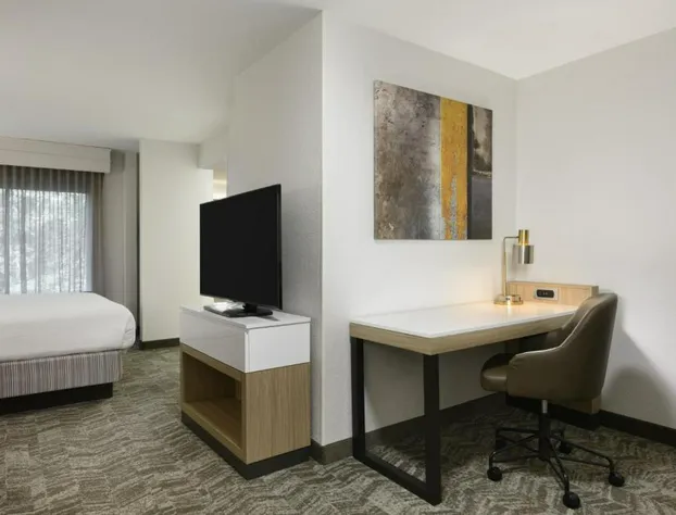 Springhill Suites By Marriott Newnan hotel detail image 4