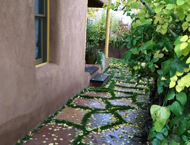 Antigua Inn hotel detail image 3