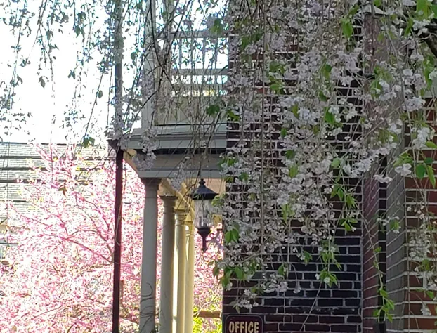 Harvest Moon Bed and Breakfast hotel detail image 2