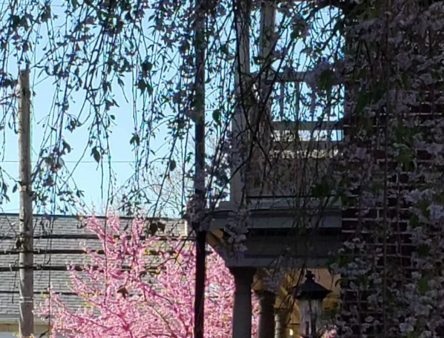 Harvest Moon Bed and Breakfast hotel detail image 3