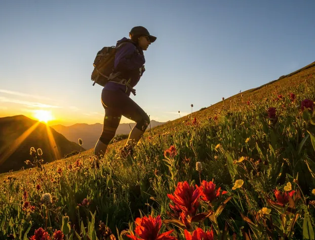 Fairmont Heritage Place, Franz Klammer Lodge hotel detail image 1