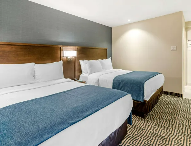 Quality Inn Centre-Ville hotel detail image 4