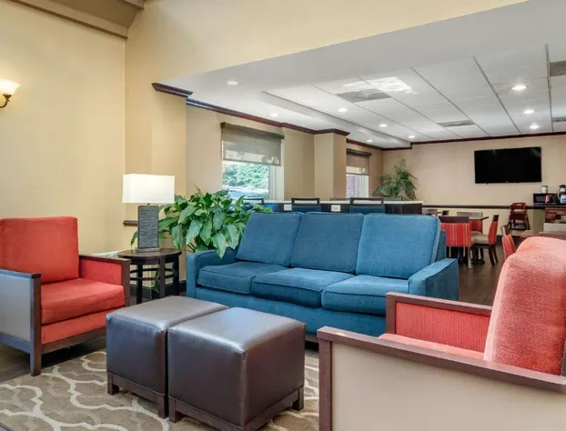 Comfort Inn & Suites Suwanee - Sugarloaf hotel detail image 2