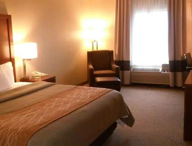 Comfort Inn & Suites Suwanee - Sugarloaf hotel detail image 4