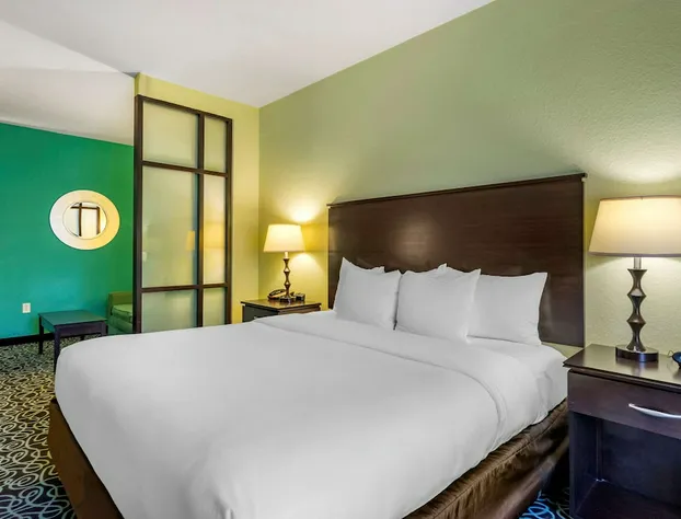 Hampton Inn by Hilton Tampa Fairgrounds Casino hotel detail image 3