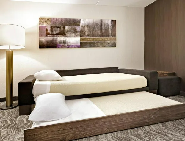 Springhill Suites By Marriott Phoenix Glendale Peoria hotel detail image 4