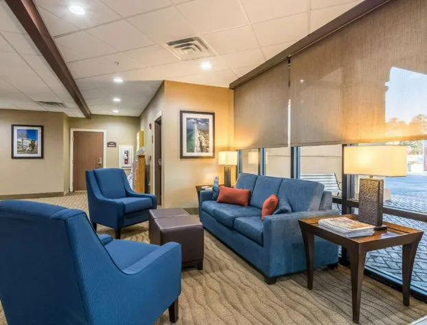 Comfort Suites Panama City Beach hotel detail image 4