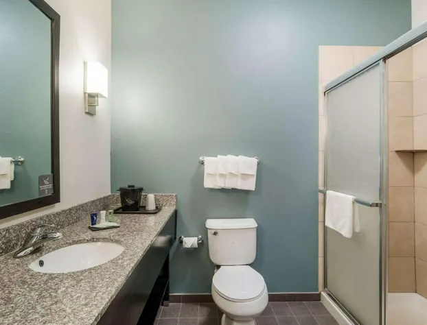 Sleep Inn and Suites at Kennesaw State University hotel detail image 3