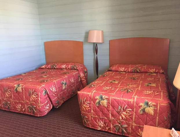 Dolphin Inn hotel detail image 4