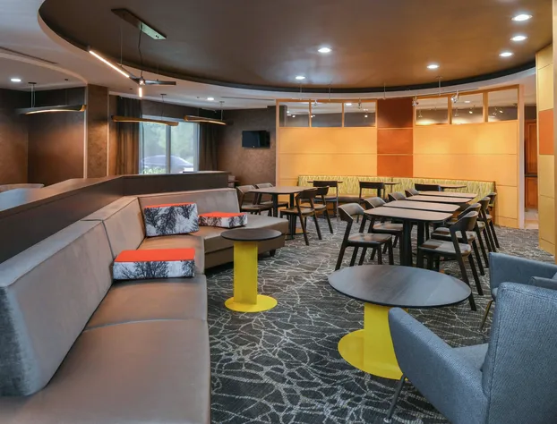 SpringHill Suites by Marriott Lancaster Palmdale hotel detail image 1