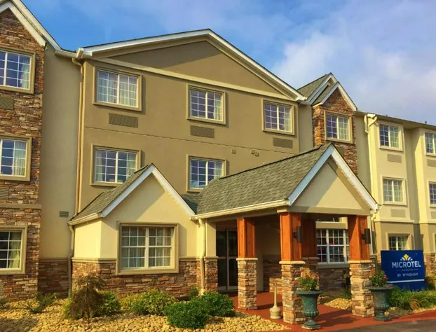 Microtel Inn & Suites by Wyndham Greenville / Woodruff Rd hotel detail image 2