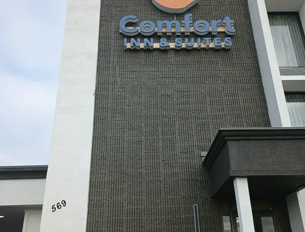 Comfort Inn & Suites hotel detail image 2