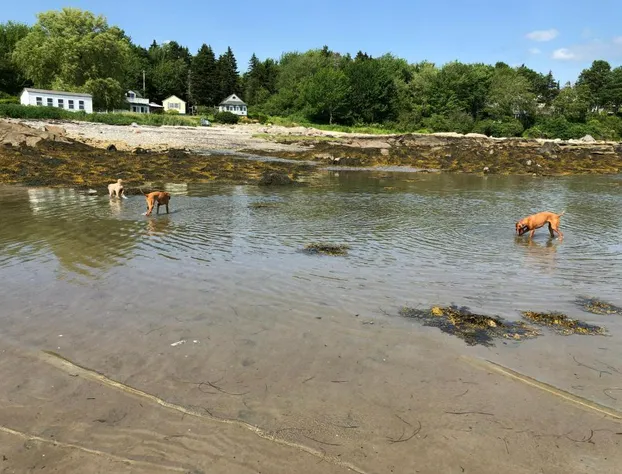 The Craignair Inn & Restaurant hotel detail image 4